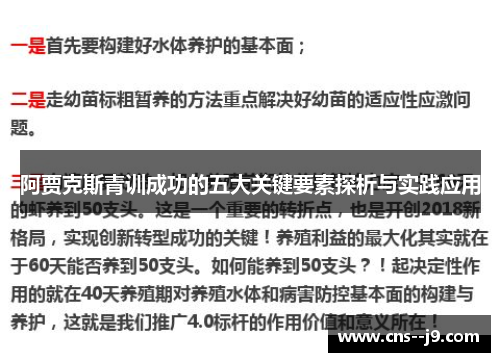 阿贾克斯青训成功的五大关键要素探析与实践应用
