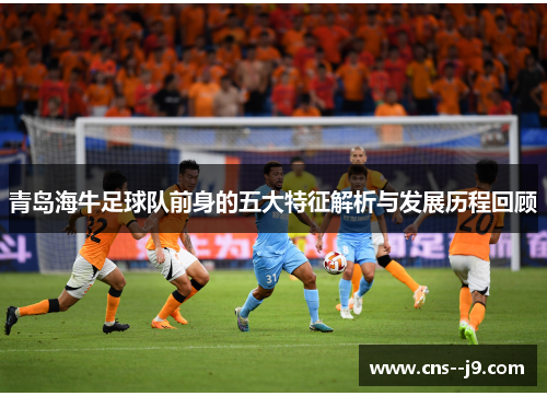 青岛海牛足球队前身的五大特征解析与发展历程回顾 青岛海牛足球队前身的五大特征解析与发展历程回顾