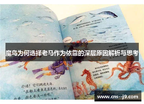 魔鸟为何选择老马作为依靠的深层原因解析与思考