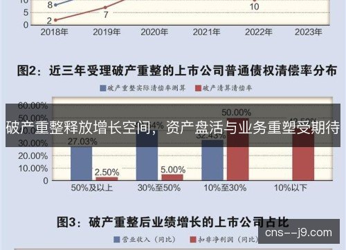 破产重整释放增长空间，资产盘活与业务重塑受期待